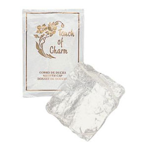 Charlotte pour douche, en plastique transparent