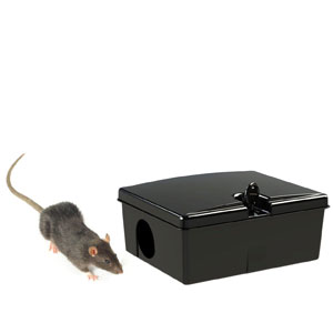 Boite appât rat et souris à clef, piège pour rats et souris (vendu vide)  Pour l
