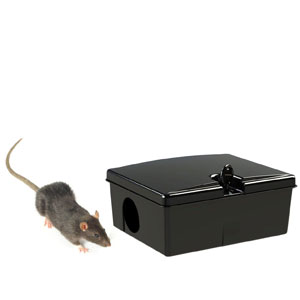 Piège à souris Boîte d'appâts Type Peti en PVC - KERBL